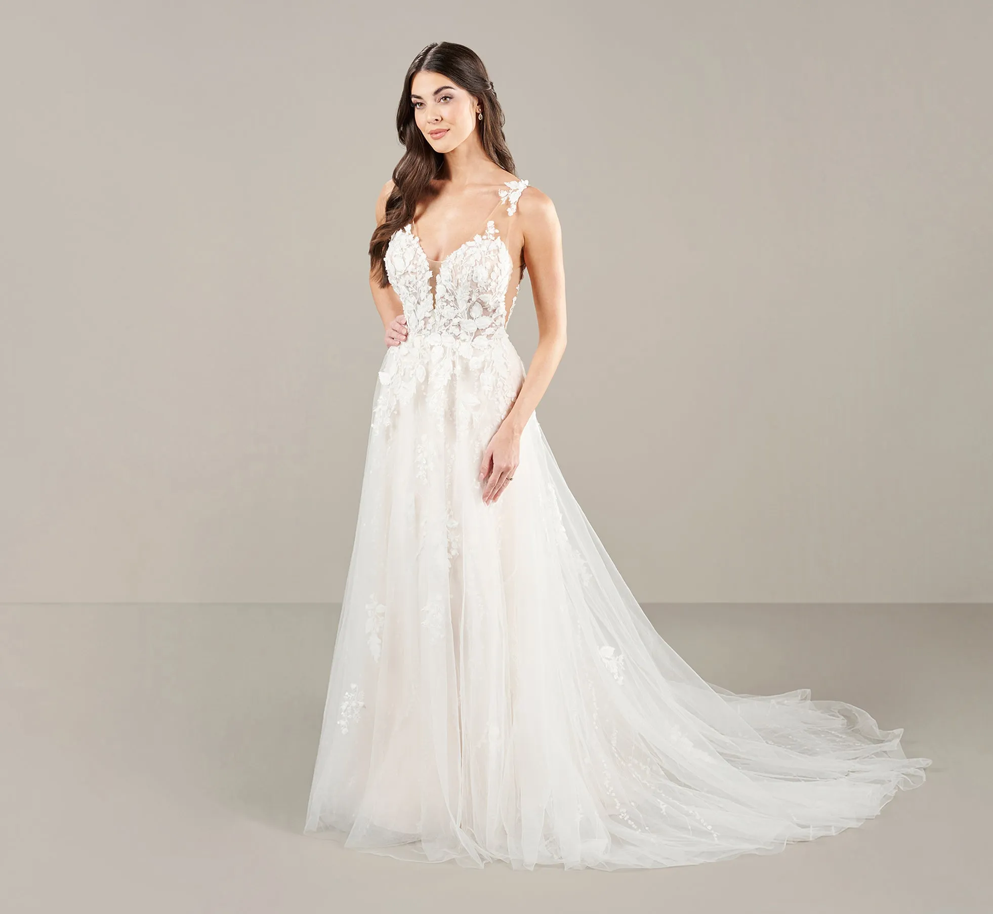 Ethereal A Line Lace Gown In Ivory Almond